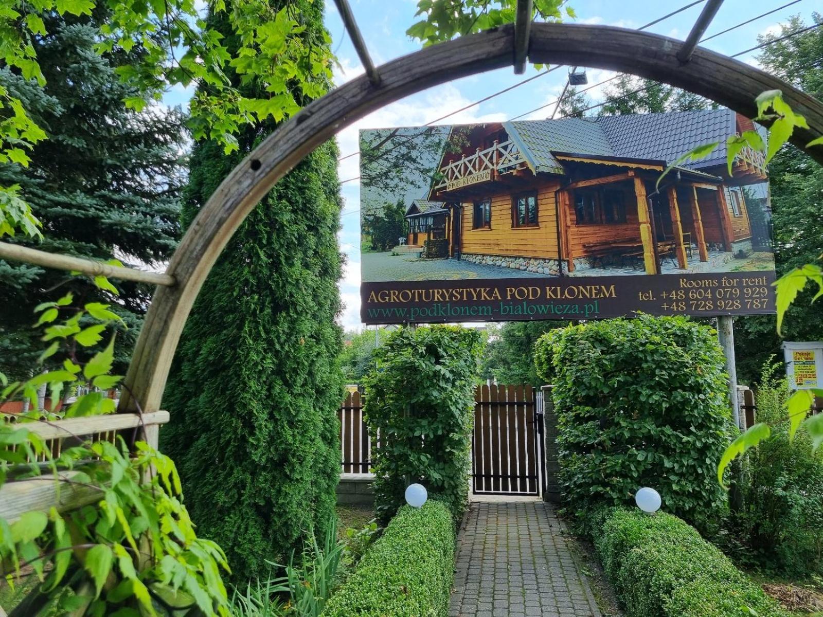 Domek Pod Klonem Agroturystyka Białowieża Buitenkant foto